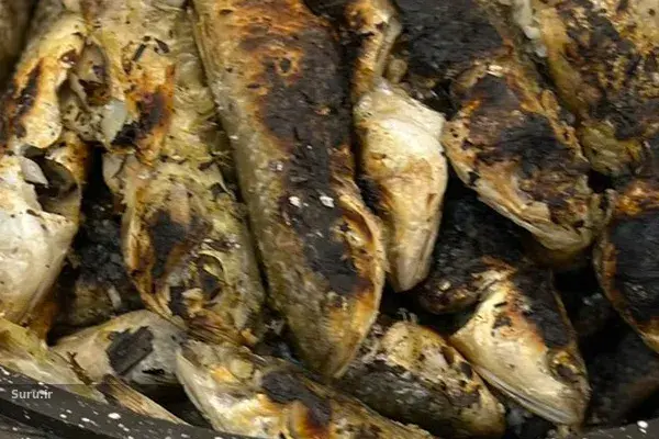 غذاهای دریایی سنتی جنوب ایران