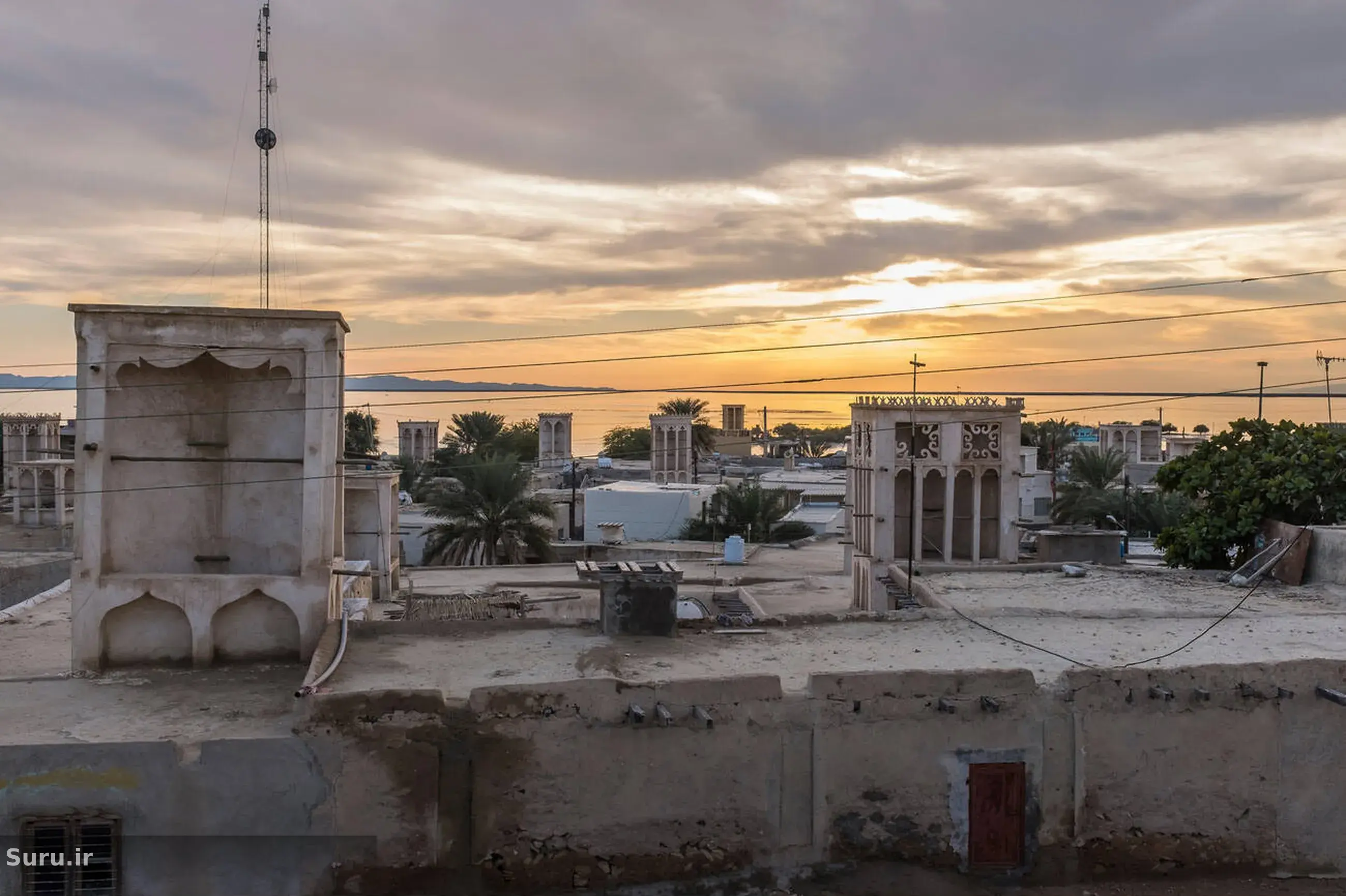 suru-ir-2025-04-29_15-55-1.webp